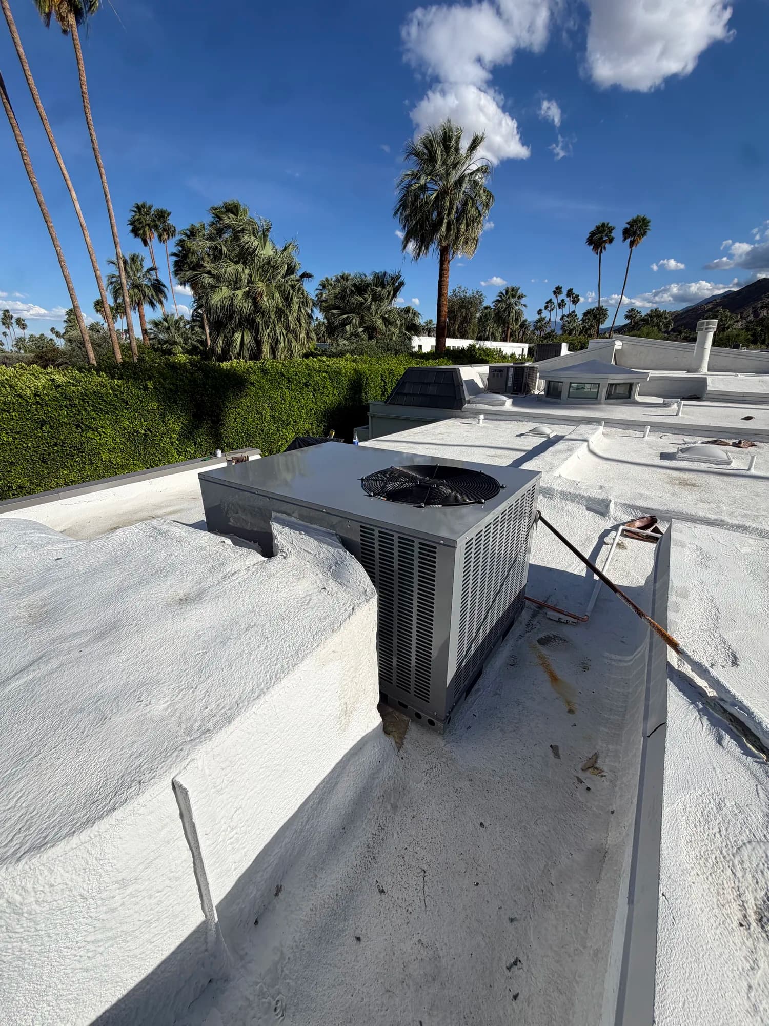 Residential rooftop unit framed by palm trees